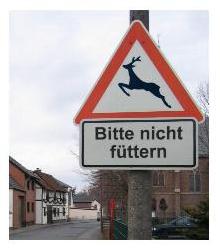 JPG-Bild